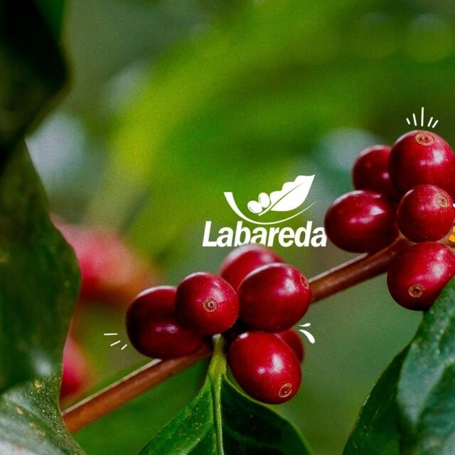 Início - Agropecuária Labareda